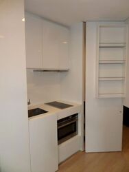 Skysuites@Anson (D2), Apartment #596368051